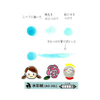 あかしや 本画仙紙はがき三層紙 AO-40L 1セット(10枚×3パック)