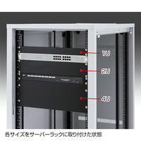 サンワサプライ ブランクパネル（1U） CP-SVBP1UBKN 1台（直送品）
