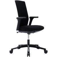 サンワサプライ Futu エルゴノミクスチェア ブラック SNC-ERG4 1脚（直送品）