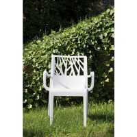 タカショー ベジタルアームチェア ホワイト 1脚（直送品）