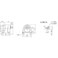 椿本チエイン サーボモータ用 TERVO減速機(ヘリカルギヤヘッド) GMTK0742L100ーK2LC 1個（直送品）