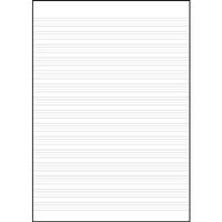 サンスター文具 DSZ-10英習帳15段ラプンツェル 4913317A 10冊（直送品）