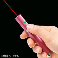 【処分品】サンワサプライ レーザーポインター LP-RD308P 赤色レーザー 単4乾電池×2 連続使用10時間 ピンク（直送品）