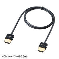 サンワサプライ プロジェクター PRJ-6 HD 300ルーメン モバイル（直送品）