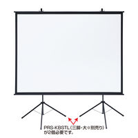 サンワサプライ プロジェクタースクリーン(壁掛け式) PRS-KB100 1個