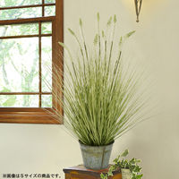 萩原 ホワイトラベンダーグラス 高さ約86cm BUCKET 光触媒加工付き 人工観葉植物 1鉢（直送品）