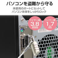 エレコム セキュリティワイヤー ESL-12R 1個