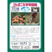 ショウワノート ジャポニカ学習帳 さんすう 17行 JL-4 10冊（直送品）