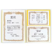 レイメイ藤井 賞状ファイル A3ブルー LSB101A 1個