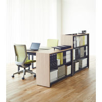 Ceha プレノストレージシステム ブラック 2段 オープン 下置き用 1台（2梱包）（取寄品）