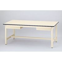 東洋事務器工業 ワークテーブル(引出し2個付き) 1200×600×740mm SWRN2-1260-II 1個 1-2864-12（直送品）