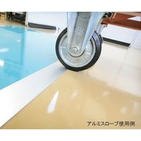 エクシール エコクリーン粘着マット用アルミスロープ 900×60mm 厚み3mm CO00-40001 1本 1-3456-21（直送品）