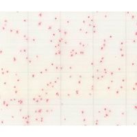 MCーMedia Pad ACplus(RーAC) 一般生菌用迅速/一般生菌用 兼用 (1000枚) SK01A25 1ケース(1000枚)（直送品）