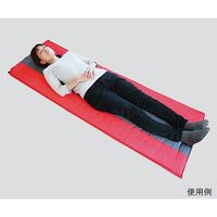 メテックス 自動膨張マットレス S 1個 3-5545-01（直送品）