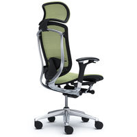 CM91AB FGH6 |オカムラ コンテッサ チェア 大型ヘッドレスト付 可動肘 背座メッシュ ポリッシュ×ネオブラック ピスタチオグリーン（直送品）
