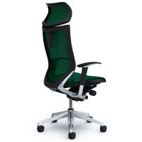 CP81AR FEH5 |オカムラ バロン オフィスチェア エクストラハイバック 可動肘付 メッシュ ポリッシュ×ブラック ダークグリーン（直送品）