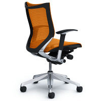 CP83AR FDH8 |オカムラ バロン オフィスチェア ローバック 可動肘付 スタンダードメッシュ ポリッシュフレーム ブラックボディ オレンジ（直送品）