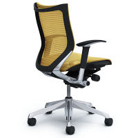 CP83AR FEH7 |オカムラ バロン オフィスチェア ローバック 可動肘付 スタンダードメッシュ ポリッシュフレーム ブラックボディ ベージュ（直送品）