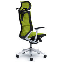 CP42AR FDH6 バロン チェア EXハイバック 可動ヘッドレスト 固定肘 背・座スタンダード ポリッシュ×ブラック ライムグリーン（直送品）