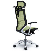 CP42AR FEH6 バロン チェア EXハイバック 可動ヘッドレスト 固定肘 背・座スタンダード ポリッシュ×ブラック ピスタチオグリーン（直送品）