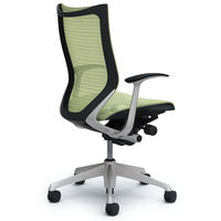 CP45CR FEH6 バロン チェア ハイバック 固定肘 背・座スタンダード シルバー×ブラック ピスタチオグリーン（直送品）