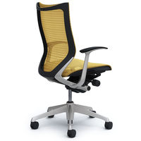 CP45CR FEH7 バロン チェア ハイバック 固定肘 背・座スタンダード シルバー×ブラック ベージュ（直送品）