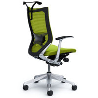 CP46BS FDF6 バロン チェア ハイバック ランバーサポートハンガー 固定肘 背スタンダード座クッション ポリッシュ×ブラック ライムグリーン（直送品）