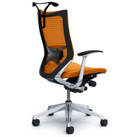 CP46BS FDF8 バロン チェア ハイバック ランバーサポートハンガー 固定肘 背スタンダード・座クッション ポリッシュ×ブラック オレンジ（直送品）