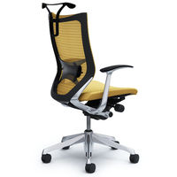 CP46BS FEF7 バロン チェア ハイバック ランバーサポートハンガー 固定肘 背スタンダード・座クッション ポリッシュ×ブラック ベージュ（直送品）