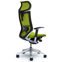 CP81BS FDF6 バロン チェア EXハイバック 可動ヘッドレスト 可動肘 背スタンダード・座クッション ポリッシュ×ブラック ライムグリーン（直送品）