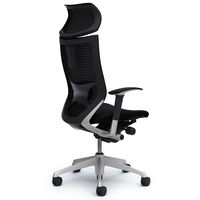 CP81DS FDF1 バロン チェア EXハイバック 可動ヘッドレスト 可動肘 背スタンダード・座クッション シルバー×ブラック ブラック（直送品）