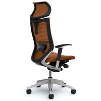 CP81DS FEF8 バロン チェア EXハイバック 可動ヘッドレスト 可動肘 背スタンダード・座クッション シルバー×ブラック ブラウン（直送品）