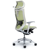 CP82AZ FEH6 バロン チェア EXハイバック 可動ヘッドレスト 可動肘 背・座スタンダード ポリッシュ×ホワイト ピスタチオグリーン（直送品）