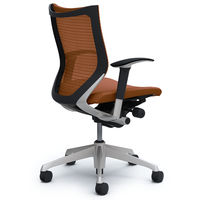 CP83DR FEF8 バロン チェア ローバック 可動肘 背スタンダード・座クッション シルバー×ブラック ブラウン（直送品）