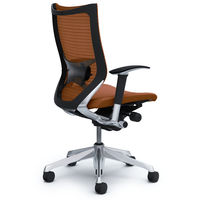 CP85BS FEF8 |オカムラ バロン チェア ハイバック ランバーサポート 可動肘 背スタンダード・座クッション ポリッシュ×ブラック ブラウ （直送品）