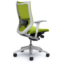 CP85DZ FDF6 |オカムラ バロン チェア ハイバック ランバーサポート 可動肘 背スタンダード・座クッション シルバー×ホワイト ライムグ （直送品）