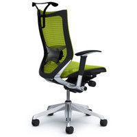 CP86AS FDH6 |オカムラ バロン チェア ハイバック ランバーサポートハンガー 可動肘 背・座スタンダード ポリッシュ×ブラック ライムグ （直送品）