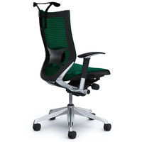 CP86AS FEH5 |オカムラ バロン チェア ハイバック ランバーサポートハンガー 可動肘 背・座スタンダード ポリッシュ×ブラック ダークグ （直送品）