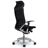 CP87DR FDF1 バロン チェア EXハイバック 固定ヘッドレスト 可動肘 背スタンダード・座クッション シルバー×ブラック ブラック（直送品）