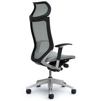 CP87DR FDF3 バロン チェア EXハイバック 固定ヘッドレスト 可動肘 背スタンダード・座クッション シルバー×ブラック ライトグレー（直送品）