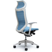 CP87DW FGR4 バロン チェア EXハイバック 固定ヘッドレスト 可動肘 背サポートメッシュ座クッション シルバー×ホワイト アクアブルー（直送品）