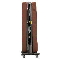 アイリスオーヤマ 折りたたみ電動リクライニングベッド OTB-TD（直送品）