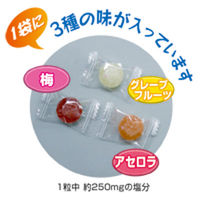 つくし工房 熱中症対策用品 塩天玉トリオ （塩飴） CN3004（直送品）