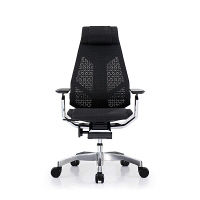 【車上渡し】 Ergohuman（エルゴヒューマン） ジェニディア 多機能オフィスチェア 肘付 エラストメリックメッシュ ブラック 1脚（直送品）