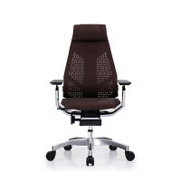 【車上渡し】 Ergohuman（エルゴヒューマン） ジェニディア 多機能オフィスチェア 肘付 エラストメリックメッシュ オレンジ 1脚（直送品）