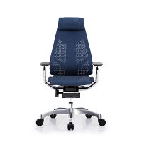 【車上渡し】 Ergohuman（エルゴヒューマン） ジェニディア 多機能オフィスチェア 肘付 エラストメリックメッシュ ブルー 1脚（直送品）