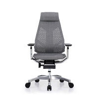 【車上渡し】 Ergohuman（エルゴヒューマン） ジェニディア 多機能オフィスチェア 肘付 エラストメリックメッシュ ホワイト 1脚（直送品）