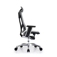 【車上渡し】 Ergohuman（エルゴヒューマン） ジェニディア 多機能オフィスチェア 肘付 エラストメリックメッシュ グレー 1脚（直送品）