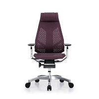 【車上渡し】 Ergohuman（エルゴヒューマン） ジェニディア 多機能オフィスチェア 肘付 エラストメリックメッシュ レッド 1脚（直送品）