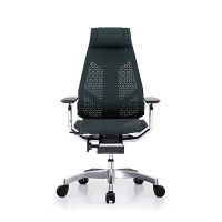 【車上渡し】 Ergohuman（エルゴヒューマン） ジェニディア 多機能オフィスチェア 肘付 エラストメリックメッシュ グリーン 1脚（直送品）